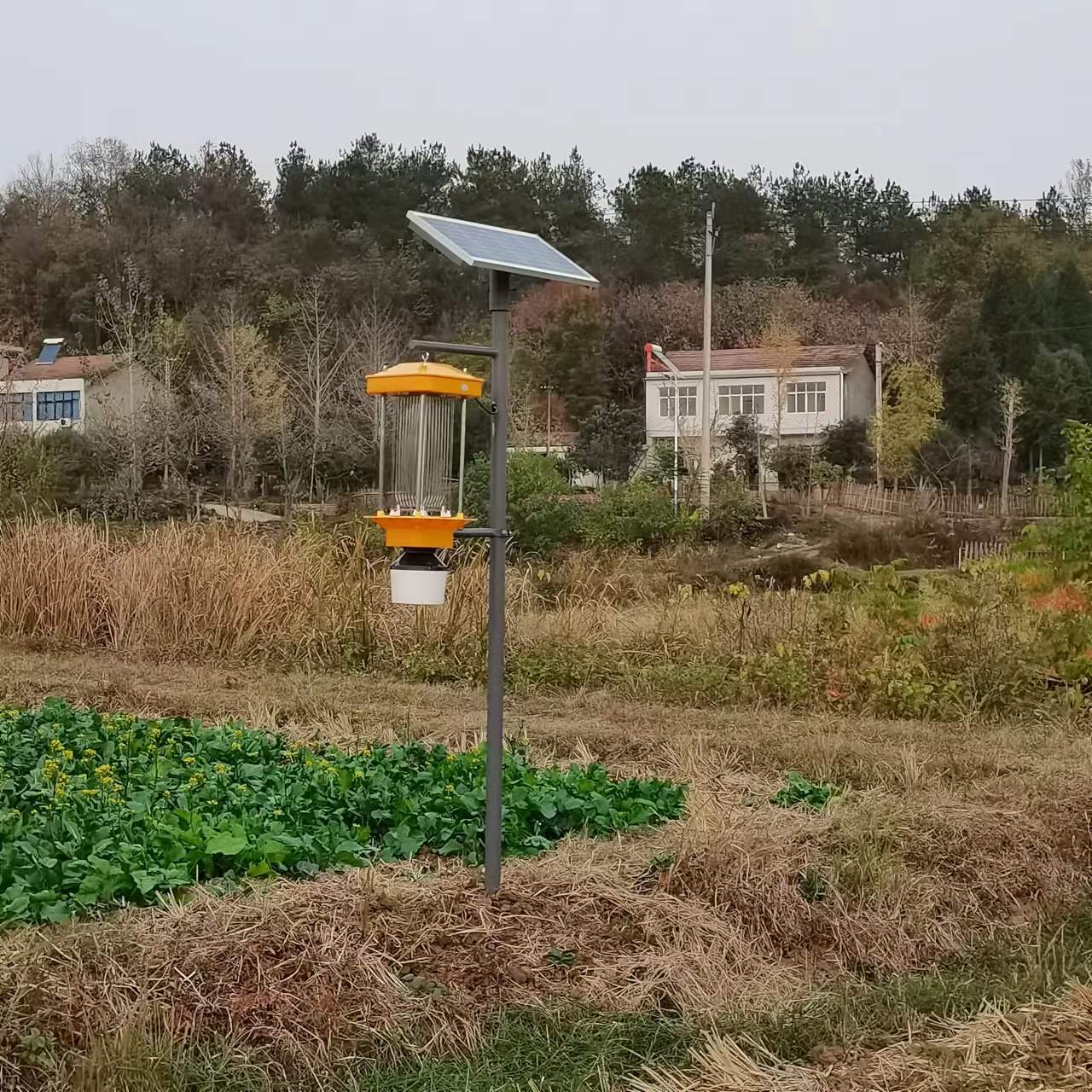微信图片_20221110084553.jpg